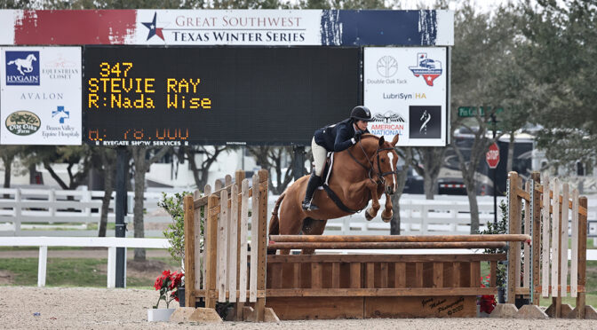 5 Different Types Of Horse Jumps  Horse Jumping Barn - Comly Sports